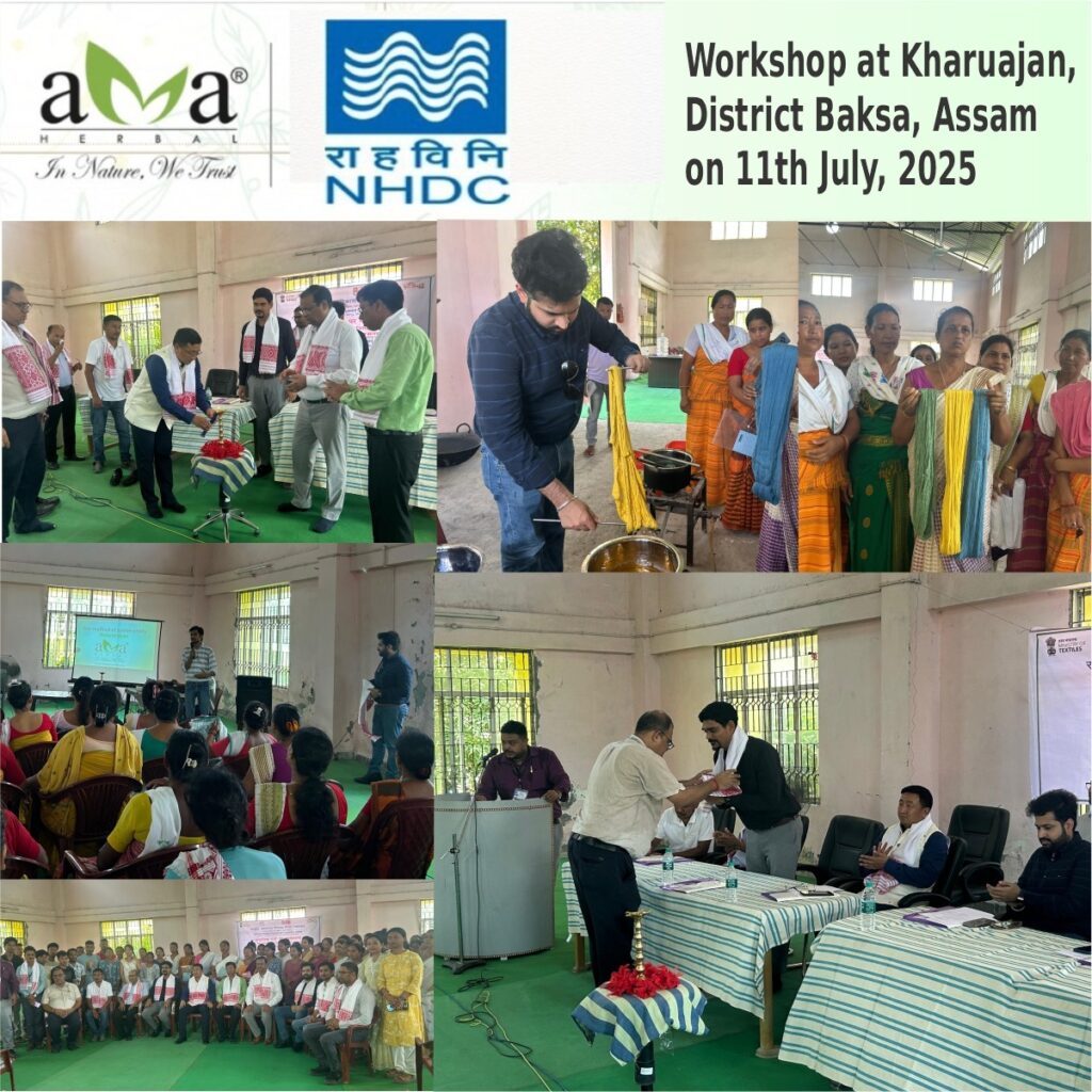 WhatsApp Image 2025 07 12 at 17.03.11