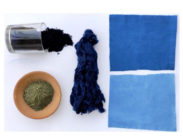 Bio Indigo® Natural Dye