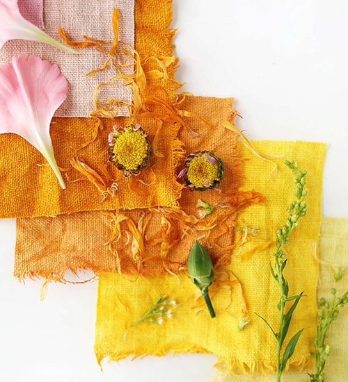 WhatsApp Image 2023-01-25 at 5.27.35 PM