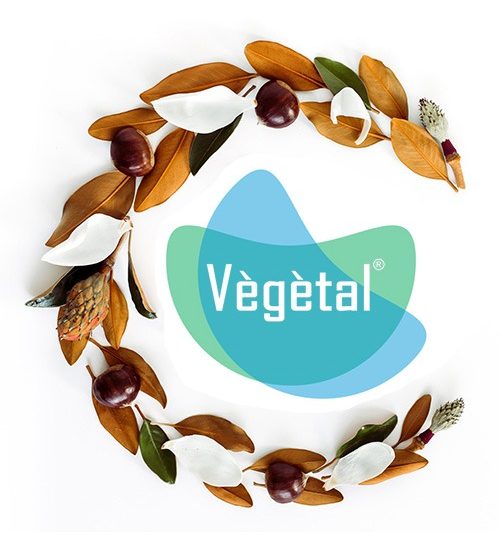 WhatsApp Image 2023-01-25 at 5.49.04 PM (1)