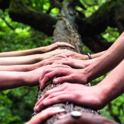 WhatsApp Image 2023-01-25 at 5.53.31 PM